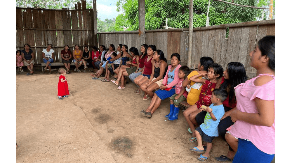 https://peru.unfpa.org/es/tablero-de-monitoreo-del-proyecto-nuwa-senchi