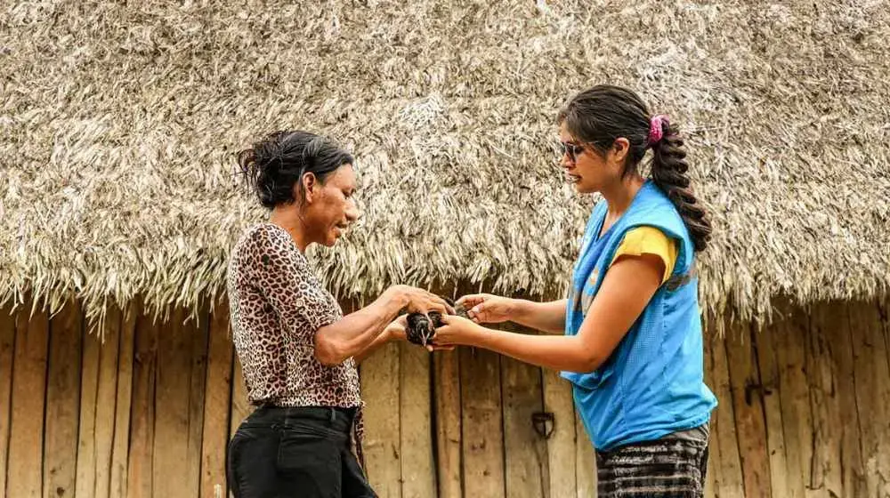 Previo al informe: Empoderando a niñas, adolescentes y mujeres en Condorcanqui: UNFPA, hacia un futuro sin violencia y con acceso a justicia.