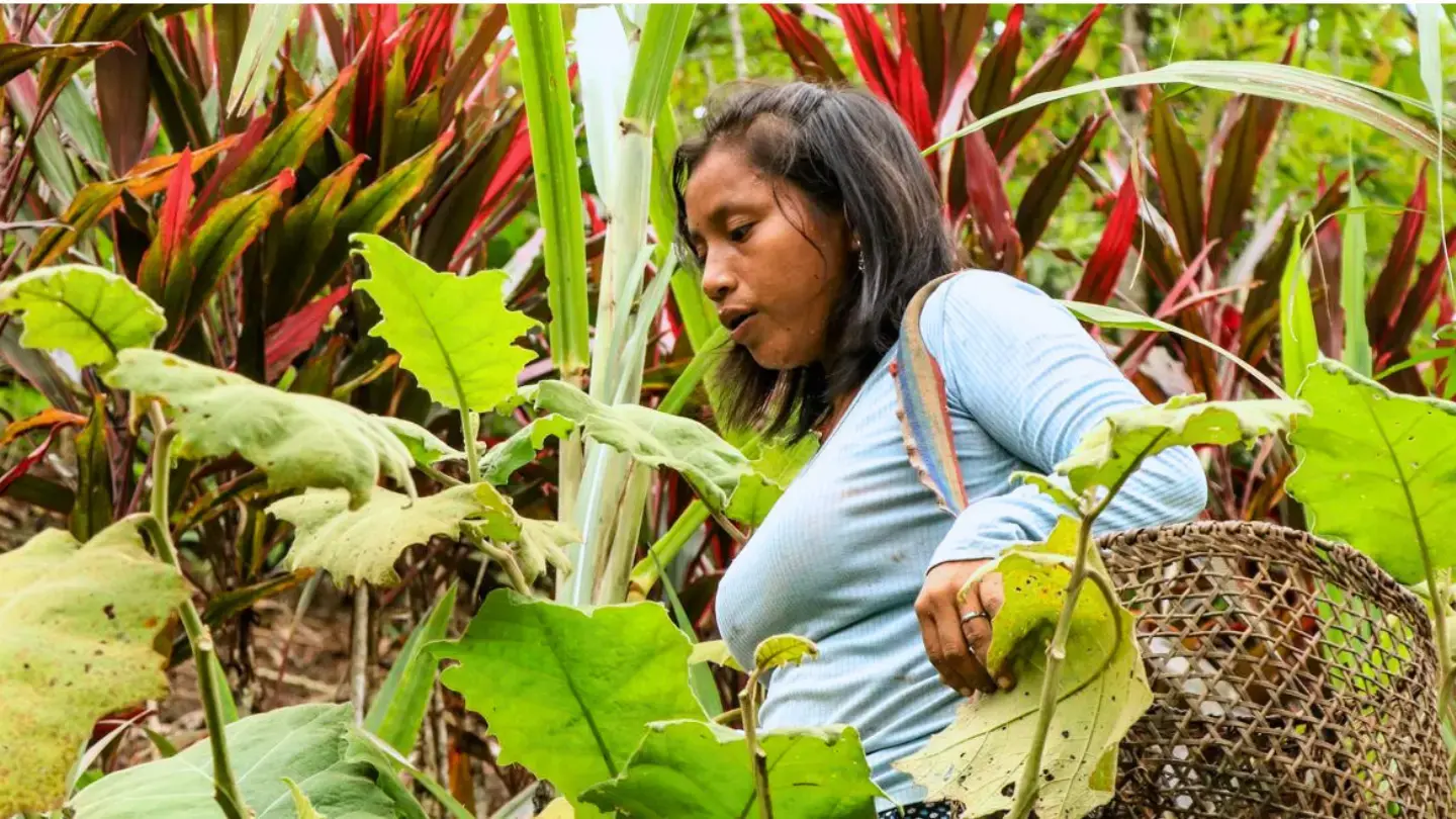 Día Internacional de la Mujer 2025: Derechos, Igualdad y Empoderamiento para Todas