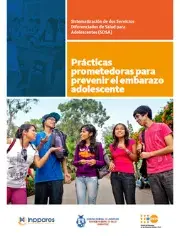 Cartilla amigable - Sistematización de dos Servicios Diferenciados de Salud para Adolescentes (SDSA): Prácticas prometedoras para prevenir el embarazo adolescente